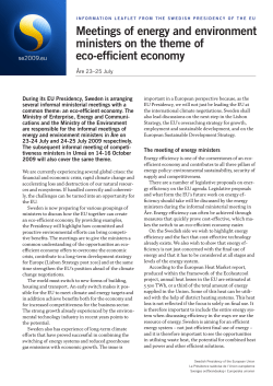 Information leaflet: Meetings of energy and environment ministers on