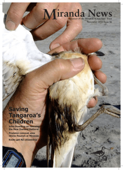 Miranda News - Miranda Shorebird Centre