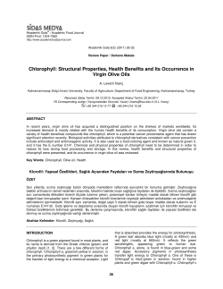 Chlorophyll: Structural Properties, Health Benefits