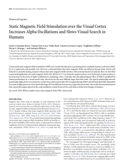 Static Magnetic Field Stimulation over the Visual Cortex Increases