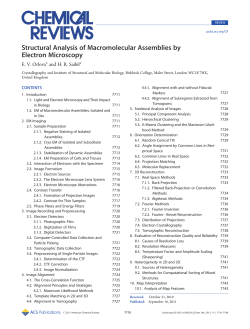 Structural Analysis of Macromolecular Assemblies by Electron
