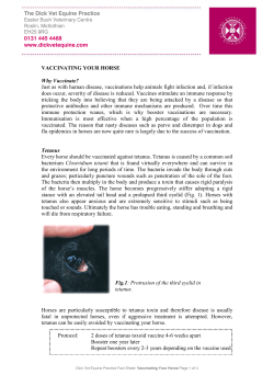 DVEP Vaccinating your horse fact sheet