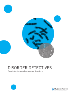 disorder detectives