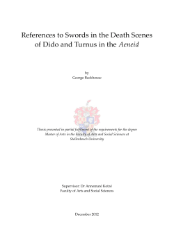 References to Swords in the Death Scenes of Dido and Turnus in