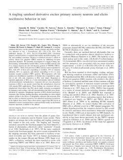A tingling sanshool derivative excites primary sensory neurons and