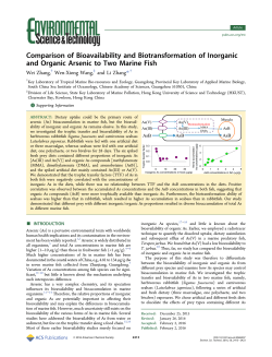 Comparison of Bioavailability and Biotransformation of Inorganic