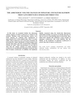 Adrenergic responses of immature and mature trout red cells