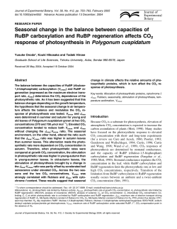Seasonal change in the balance between capacities of RuBP