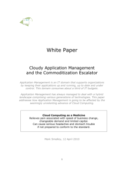 2010-07 White Paper - ASL BiSL Foundation