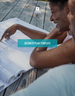 BUSINESS PLAN TEMPLATE