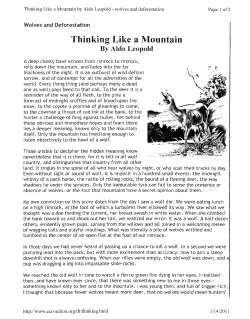 Thinking Like a Mountain