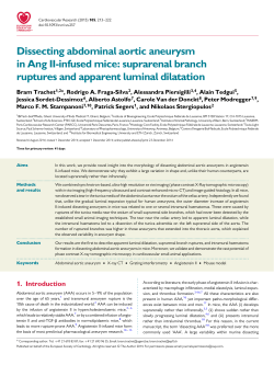 Dissecting abdominal aortic aneurysm in Ang II