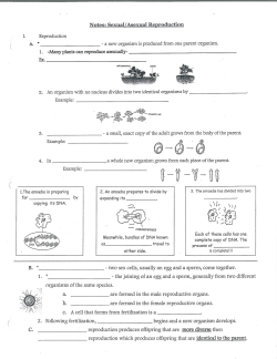 Notes: Sexual!Asexual Reproduction Reproduction An orga&yuml;fism