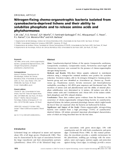 Nitrogen-fixing chemo-organotrophic bacteria isolated - ICB-USP