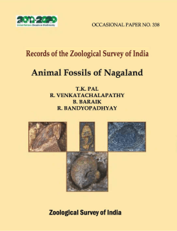 Animal Fossils of Nagaland - Zoological Survey of India