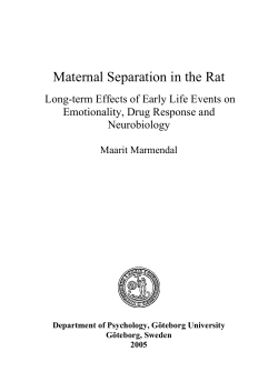 Maternal Separation in the Rat