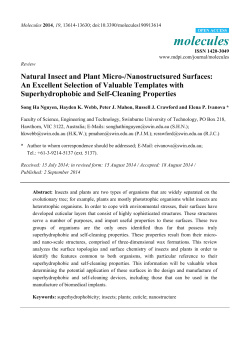 Natural Insect and Plant Micro-/Nanostructsured Surfaces: An