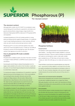 Phosphorous (P) - SUPERIOR Fertiliser specialists