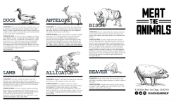 DUCK - Sausage and Meat