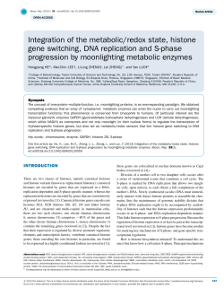 Integration of the metabolic/redox state, histone gene switching