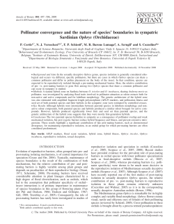 Pollinator convergence and the nature of species
