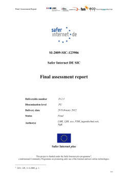 Safer Internet Final Assessment Report f&uuml;r SIP2009