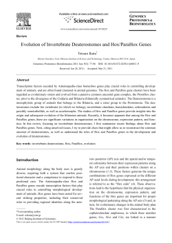 Evolution of Invertebrate Deuterostomes and