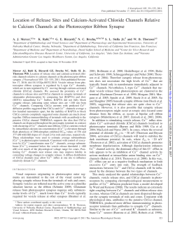 Location of Release Sites and Calcium