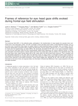 Frames of reference for eyehead gaze shifts