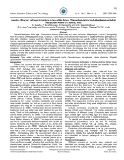 Isolation of human pathogenic bacteria in two edible fishes