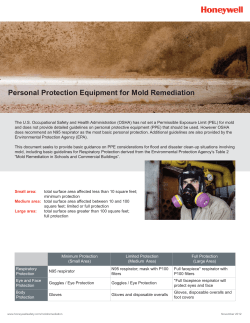 (PPE) for Mold Remediation - Honeywell Safety Products