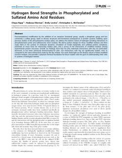 Hydrogen Bond Strengths in Phosphorylated