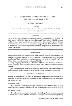 electrophoretic comparison of nuclear and nucleolar proteins