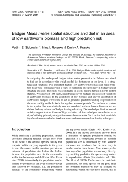 Badger Meles meles spatial structure and diet in an area of low