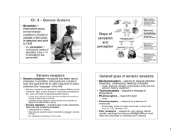 Ch. 9 &ndash; Sensory Systems Steps of sensation and perception