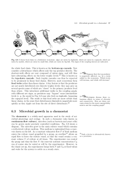6.3 Microbial growth in a chemostat