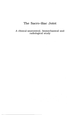 Free Full Text ( Final Version , 4mb ) - EUR RePub