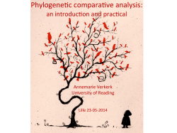 slides - Mark Pagel - University of Reading