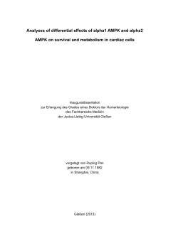 Analyses of differential effects of alpha1 AMPK and alpha2 AMPK on