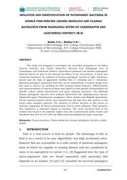 ISOLATION AND IDENTIFICATION OF PATHOGENIC BACTERIA IN