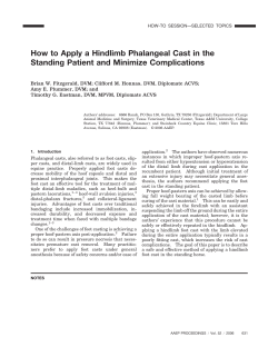 How to Apply a Hindlimb Phalangeal Cast in the Standing