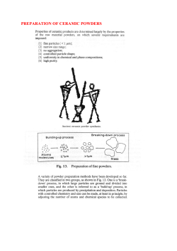 preparation of ceramic powders