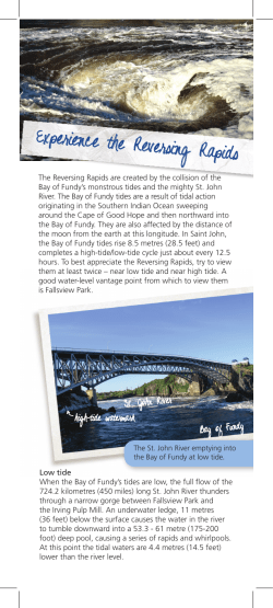 Experience the Reversing Rapids