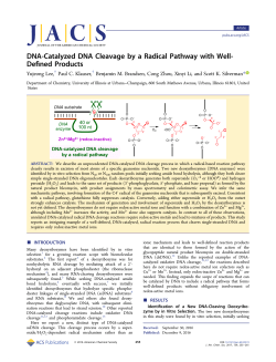 DNA-Catalyzed DNA Cleavage by a Radical Pathway with Well
