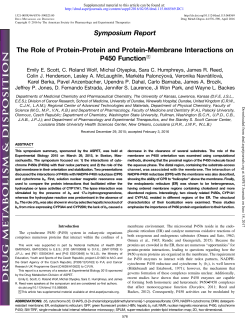 The Role of Protein-Protein and Protein