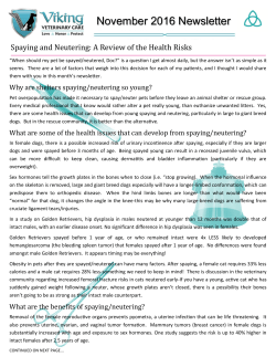 November 2016 Newsletter