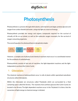 Photosynthesis - cloudfront.net