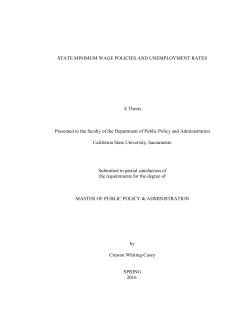 State Minimum Wage Policies and