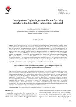 Investigation of Legionella pneumophila and free living amoebas in