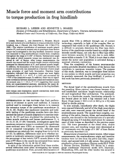 Muscle force and moment arm contributions to torque production in